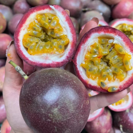 四川眉山仁寿县柚子批发 优质产地货源与农业基地指南