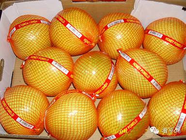 吃货的福音 今冬平湖水果市场柚子量大价廉