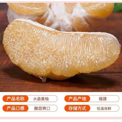 福建漳州平和县三红蜜柚批发，质优价廉助您商机无限