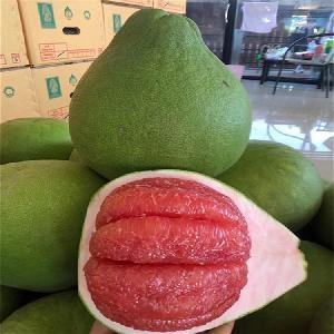 柚子批发市场指南 渠道、价格与采购策略