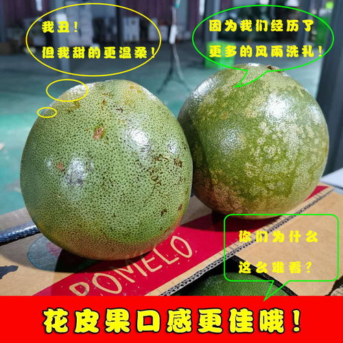 泰国青柚 白心金柚，当季鲜果，享誉全球的热带特产