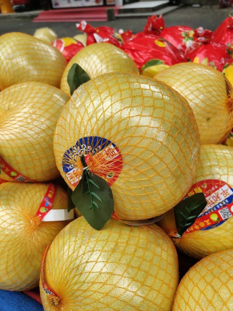 湖北宜昌西陵区白心蜜柚 产地直供，品质优价格美