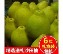 柚子批发 产品库全指南
